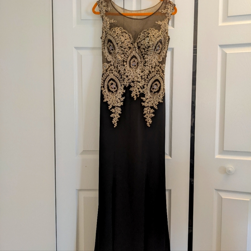 Cinderella Divine Evening Gown